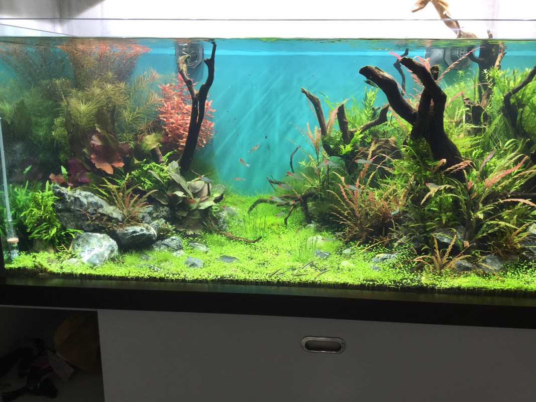 A8DFF36A-B3BE-4861-A9AD-0EF64546667D