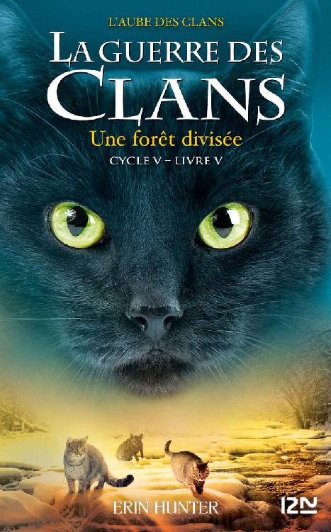 foret-divisee-Une-Erin-Hunter.jpg?042148