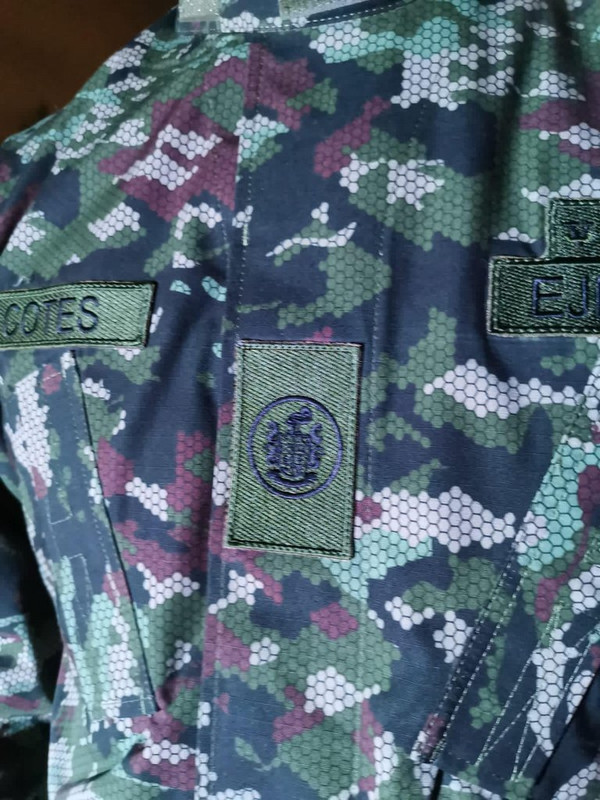 Proyecto Camaleón Bicentenario006