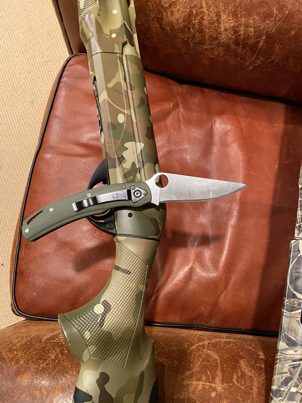 aramis-rex-multicam-cordoba.jpg