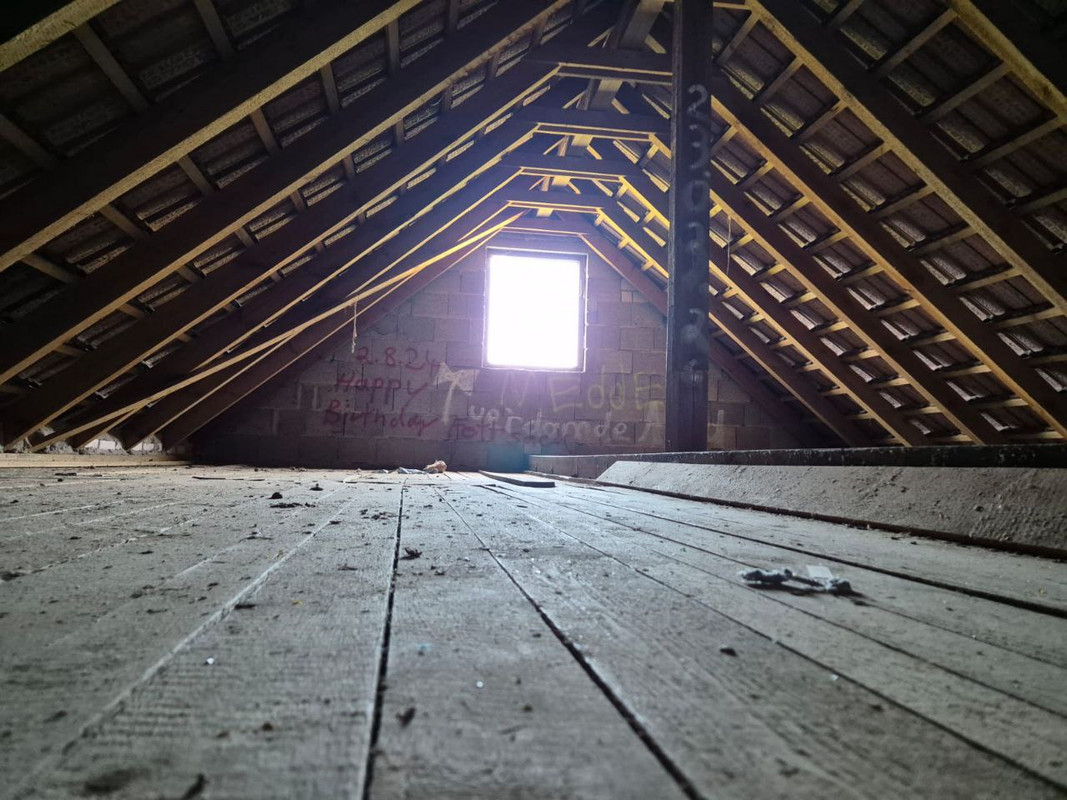 photo_5355242108765725186_y