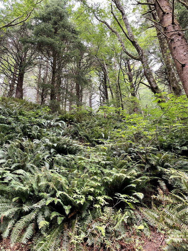 5D826248-9DD7-42DF-AE17-8247B296270D