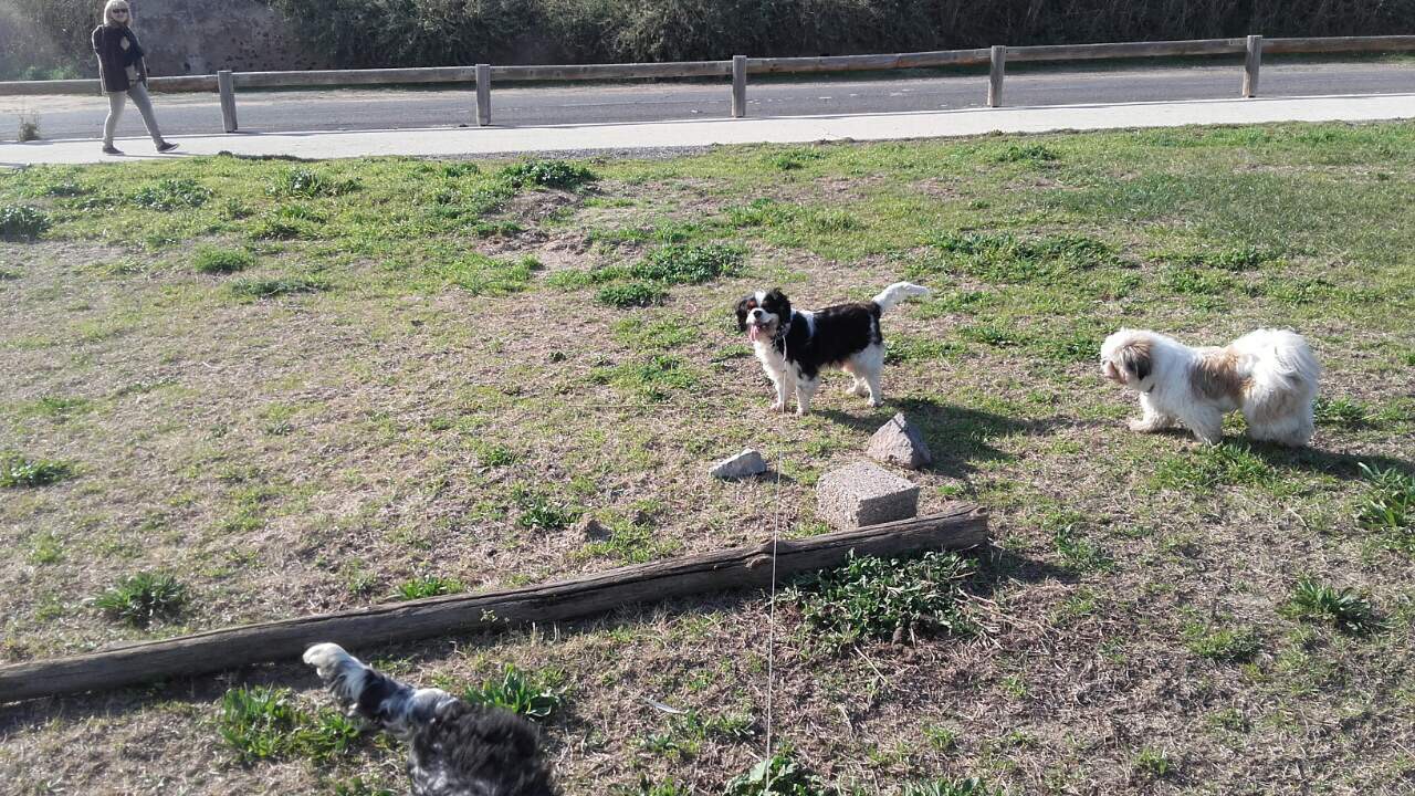 706F2A39-D838-47DD-AD7C-FC5E85439F9F