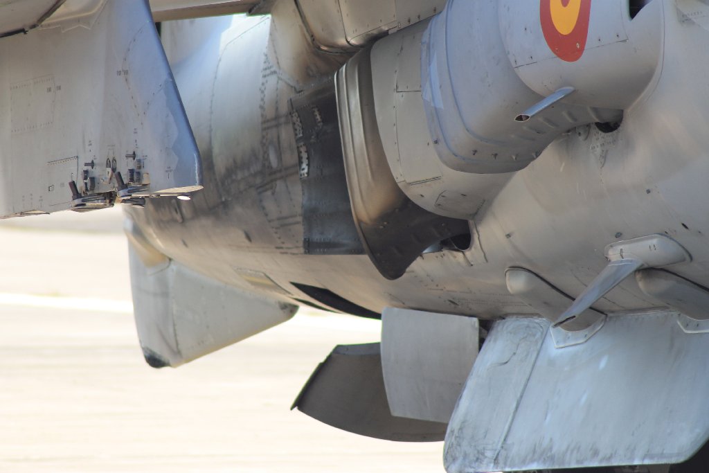 Harrier AV8 B plus II de la Armada de España IMG-6815