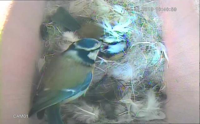 B1485EC7-27D0-4B21-BD63-2C39AD5E884F