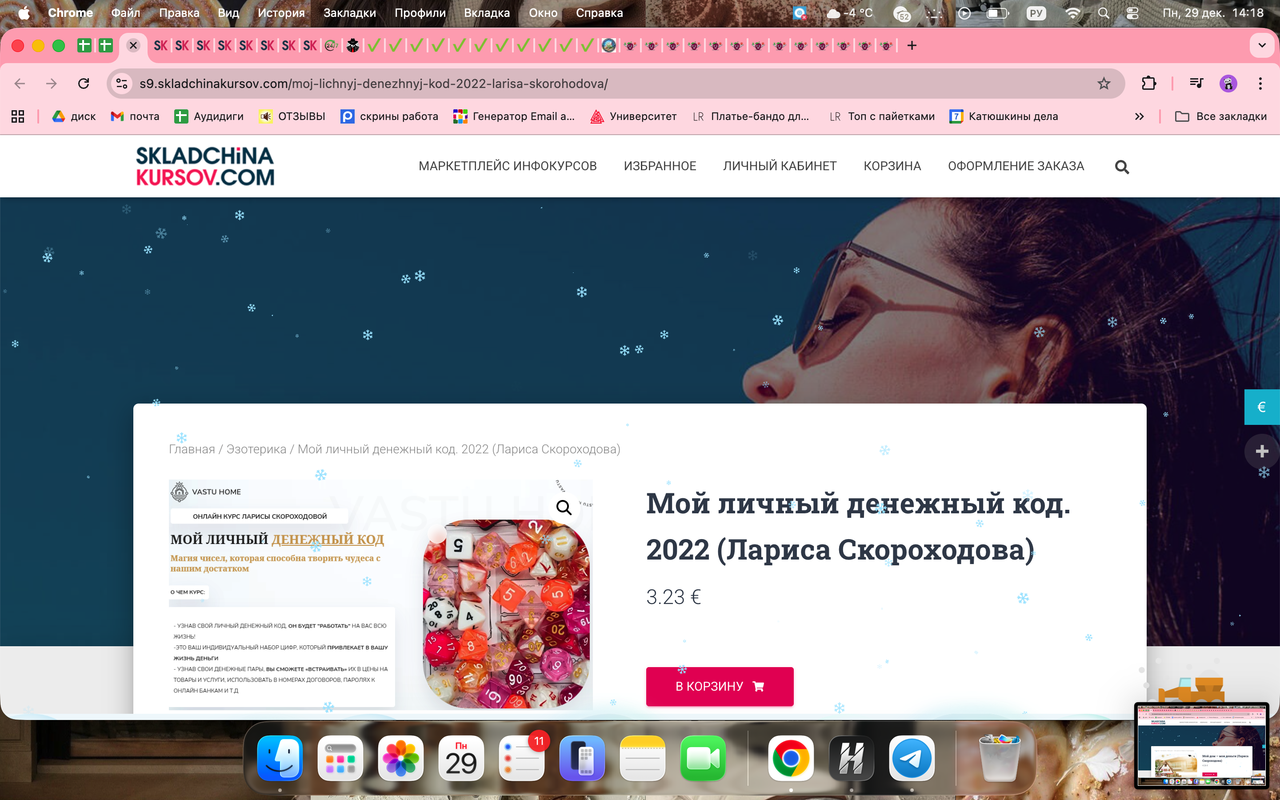 Снимок экрана 2025 12 29 в 14 18 06 1