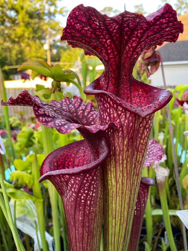 F7FDFE7E-E43F-446C-B16E-5FCB8E30A6AD