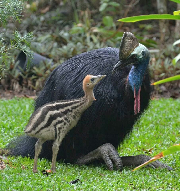 D7F191AF 4579 423A B7D3 8FFA2980089A