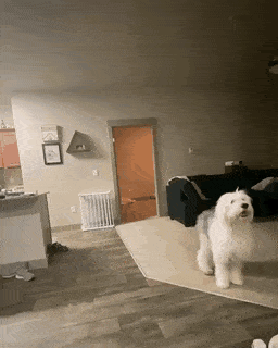 daily-gifdump-3394-23.gif