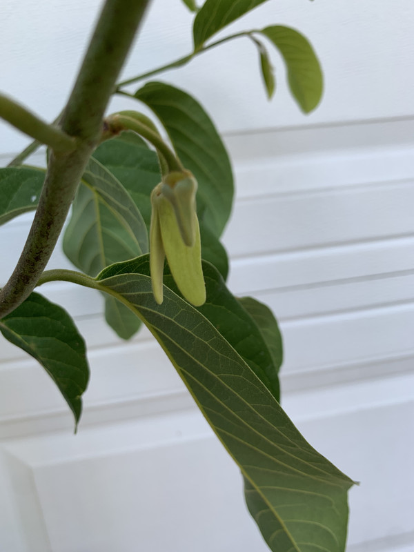 0B56F28F-5DAD-420E-AB47-1B3DA44AA530