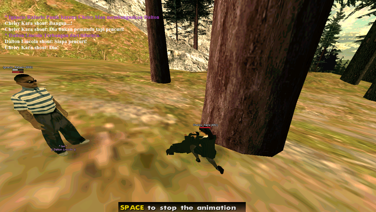 sa-mp-029.png