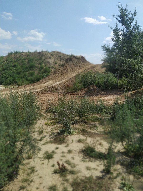 IMG_20210722_125838_967