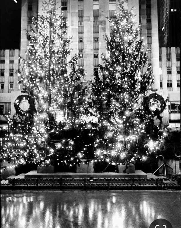 Screenshot_20231212_183932_Pinterest