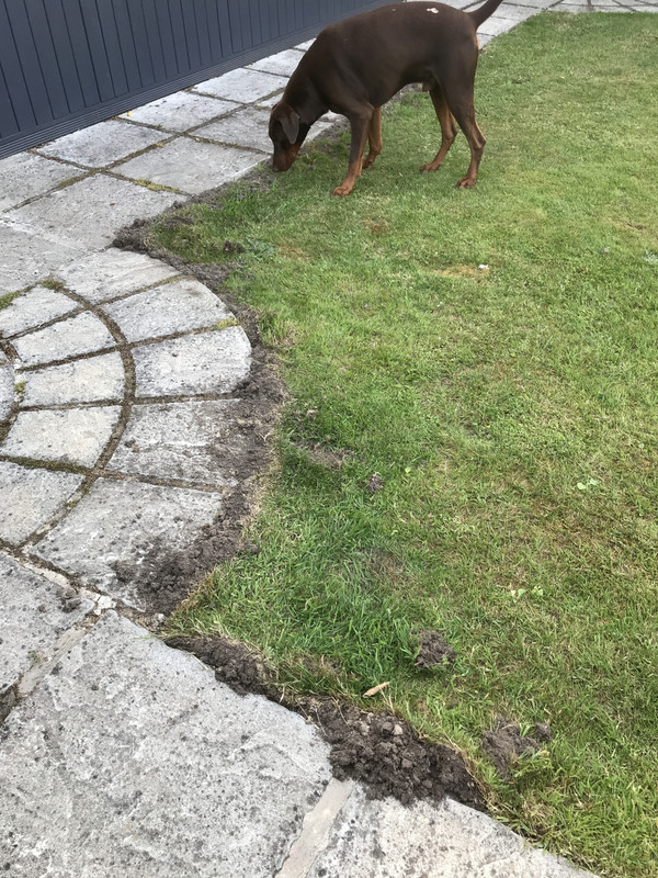 8FF9982A-D540-4D80-9FD4-C41BB33942DA