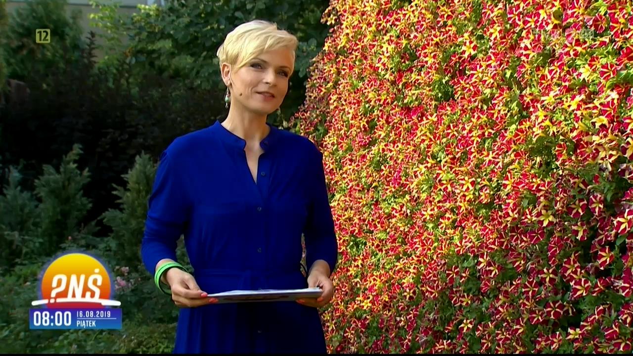 V0323_20190822_124027.mp4_snapshot_02.06_[2019.08.22_23.40.23]