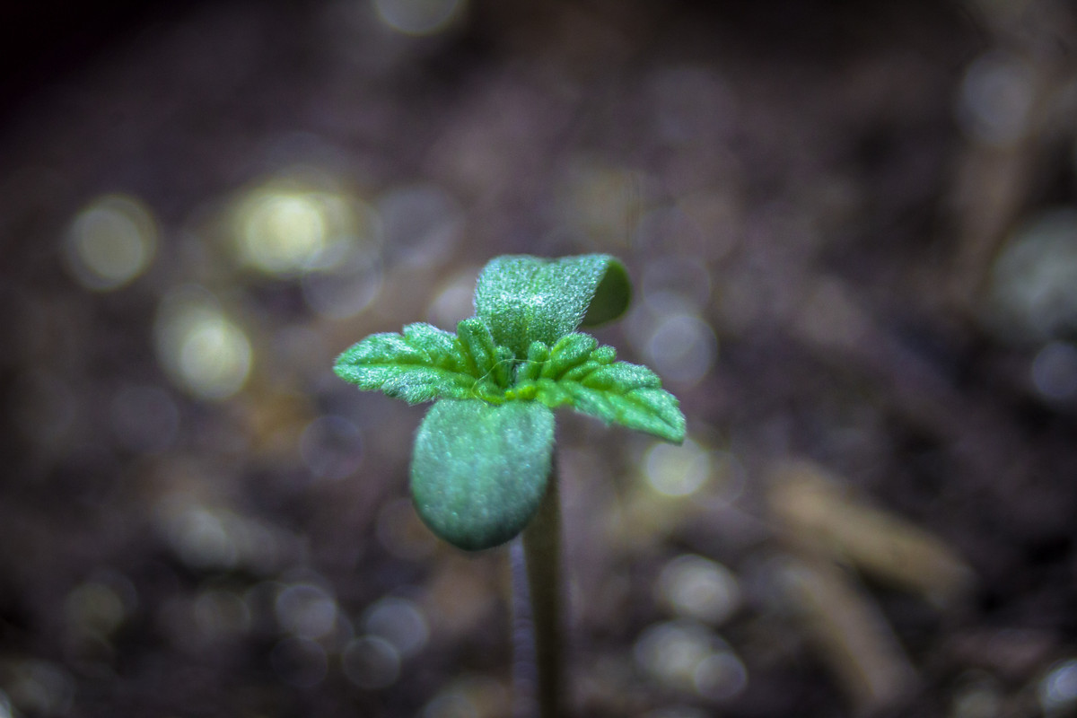 seguimientoindoor1.01 (6 de 13)