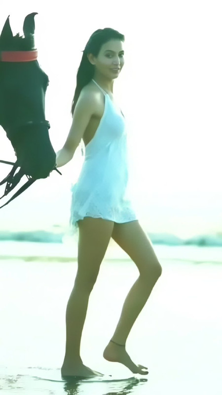 IMG_20241105_233238_203