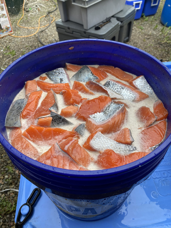 [Linked Image from i.postimg.cc]