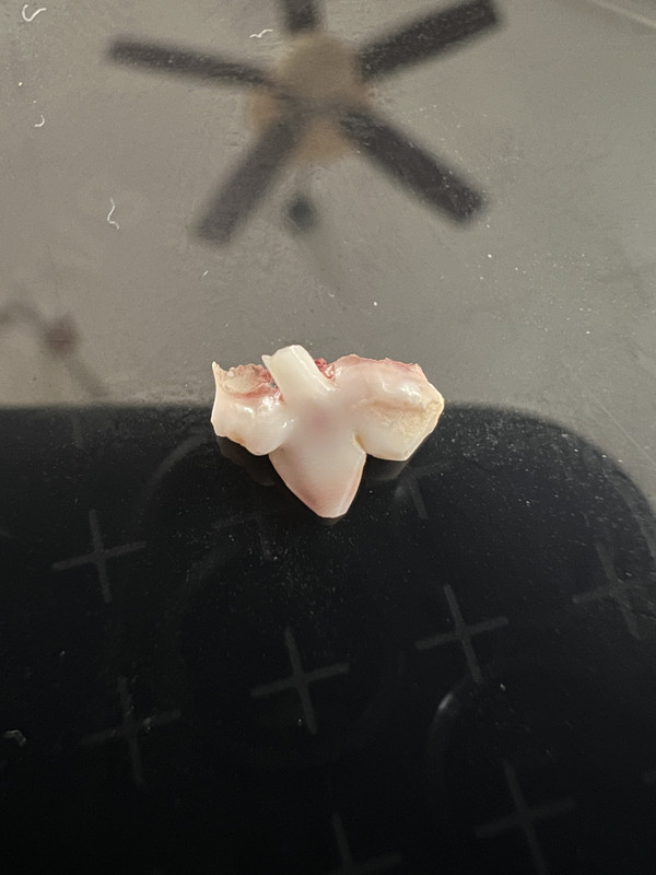 0892F95E-6C4F-4A3B-8094-AADF25C6678F