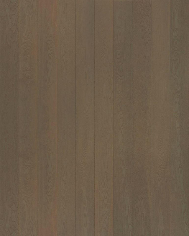 407042_302374416488850_2145613761_n
