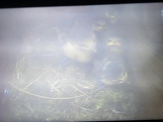 858F6DD0-5CB6-4865-9C08-31F65446446E