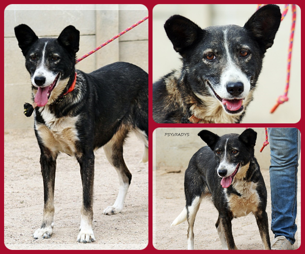 BeFunky-collage (18)