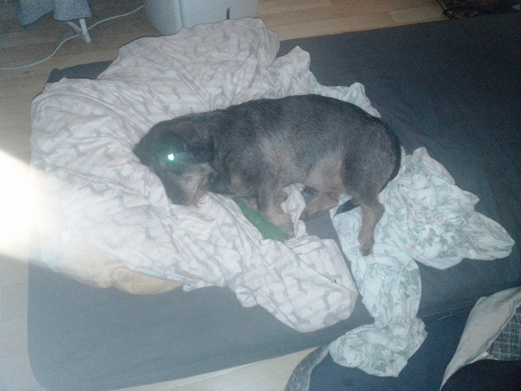 [Image: IMG-20230716-020912.jpg]