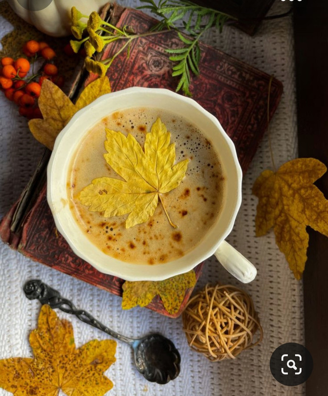 Screenshot_20231008_212558_Pinterest