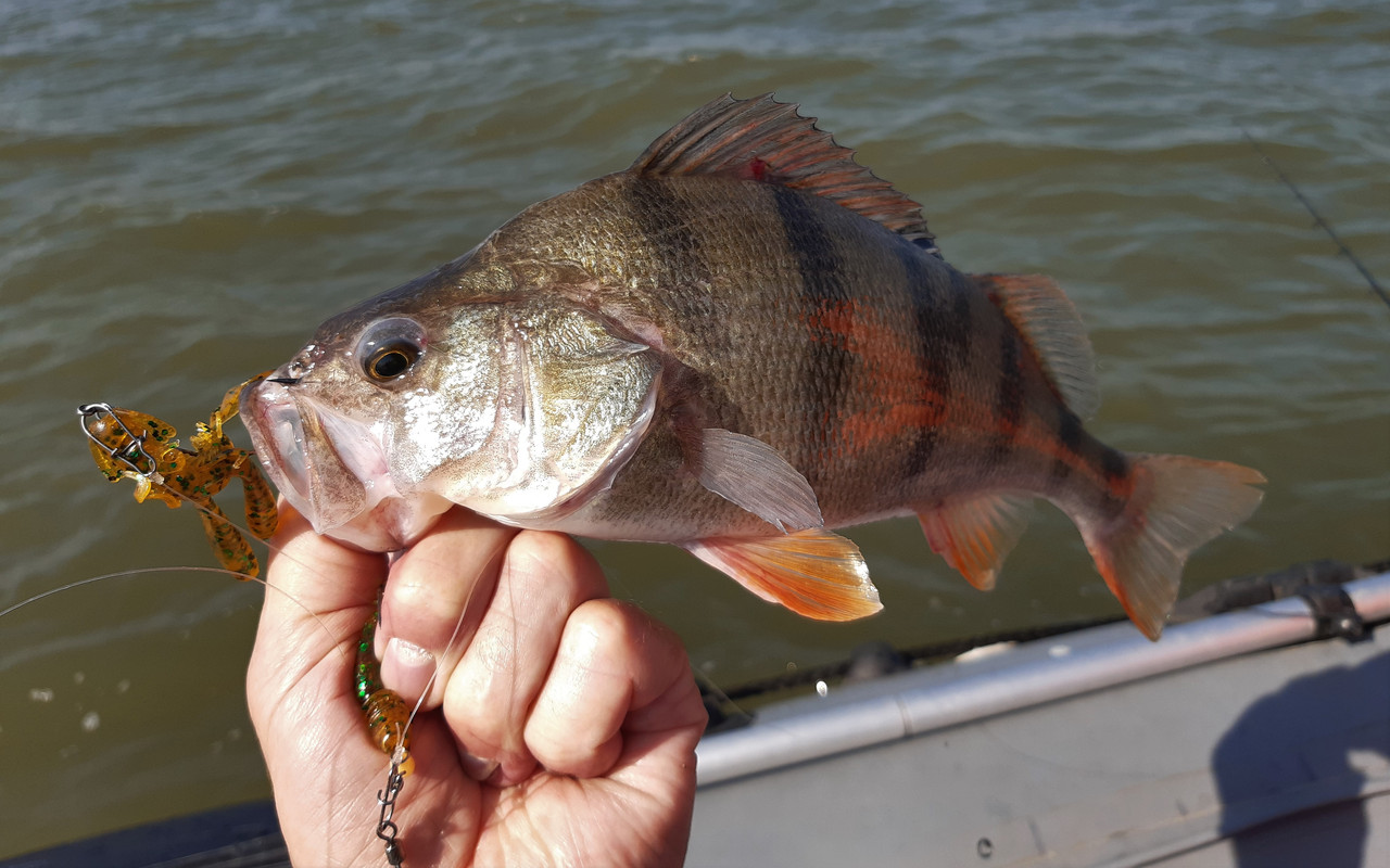 20210901_095048 — копия