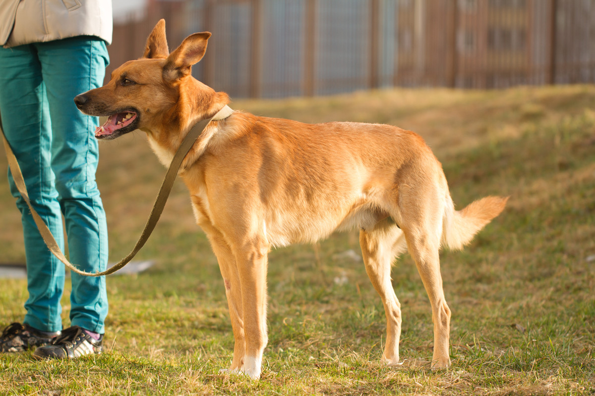 без имени-5381