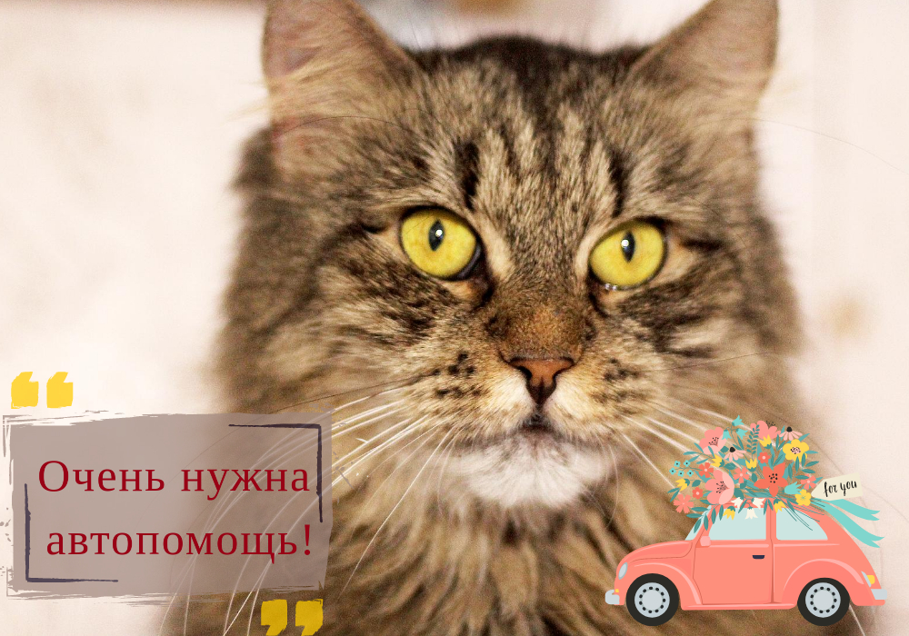 Универсальная запись ВКонтакте 1000x700  пикс (17)