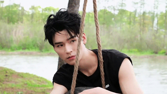 2.gif