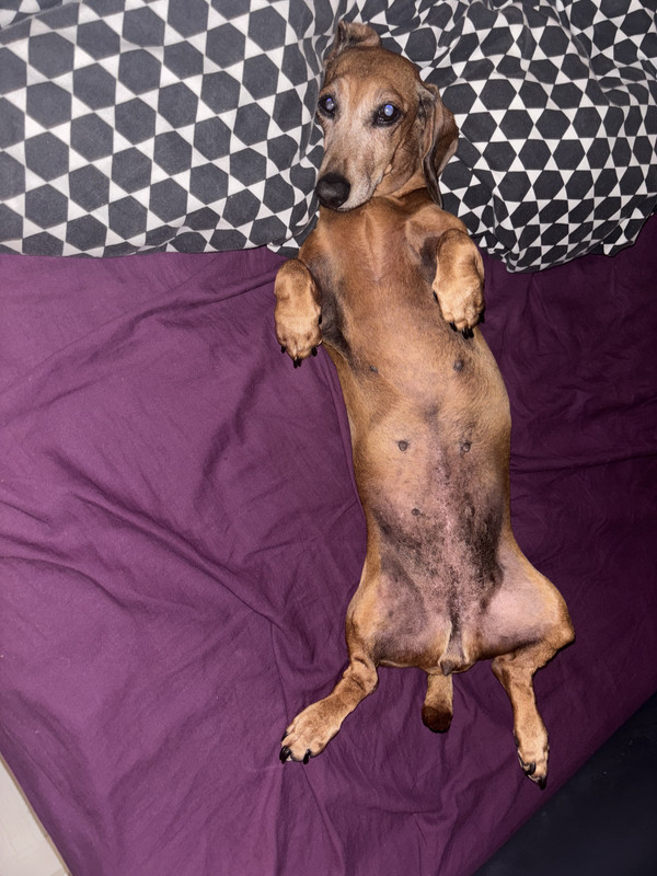 [Image: IMG-3766.jpg]