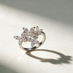 Ultra high resolution refined luxury fine jeweller 1787920271545