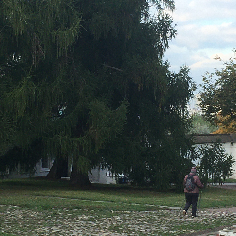 последнее с айфона 090