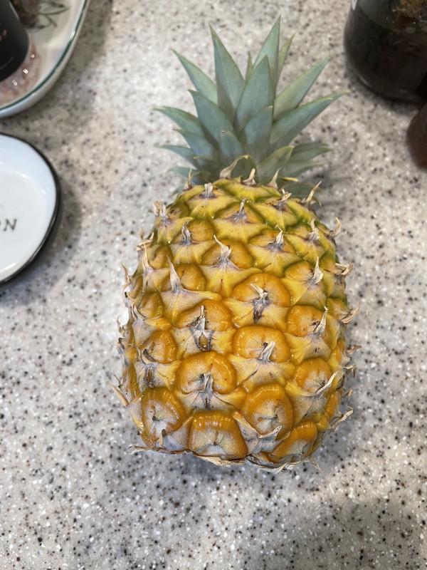 FAB8DBA8-88E6-464B-98B2-F623E839444C