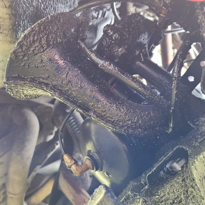 WhatsApp Image 2021-03-27 at 10.48.54 (3)