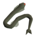 eel.png