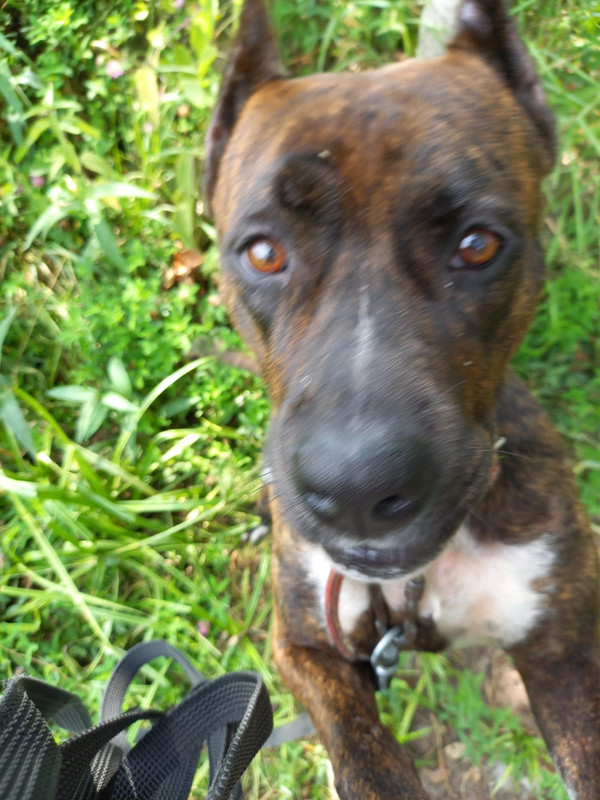 Изображение WhatsApp 2024-07-15 в 20.59.56_fda8221d