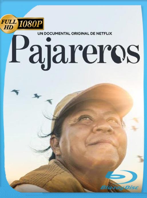 Pajareros (2019) WEB-DL HD 1080p Latino [GoogleDrive]