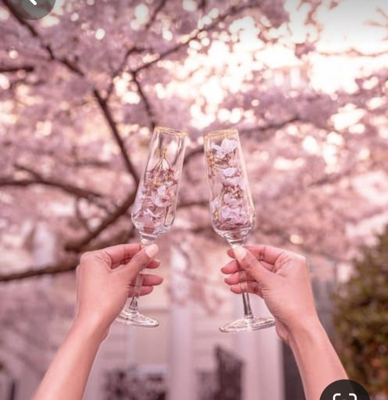 Screenshot_20240209_211945_Pinterest