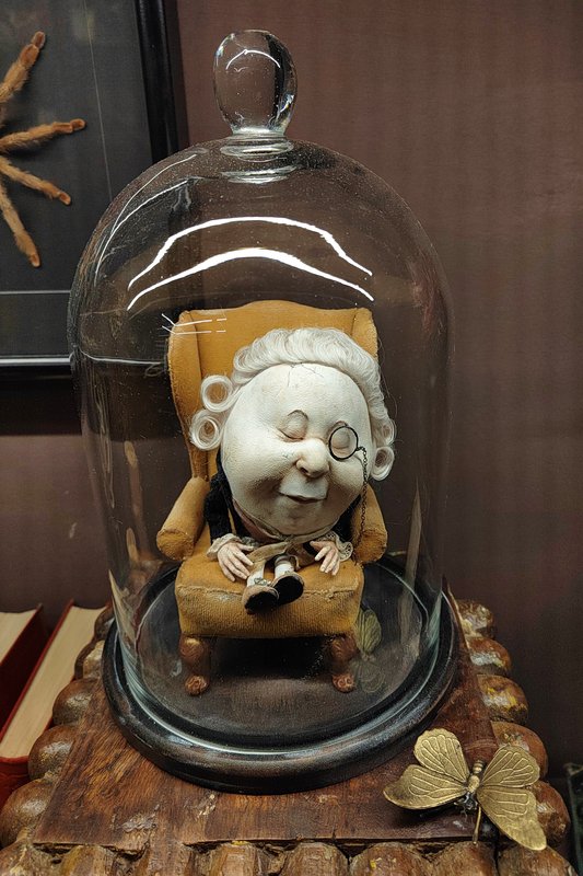 https://i.postimg.cc/MHmgXrxL/017-IMG-20250128-144607.jpg