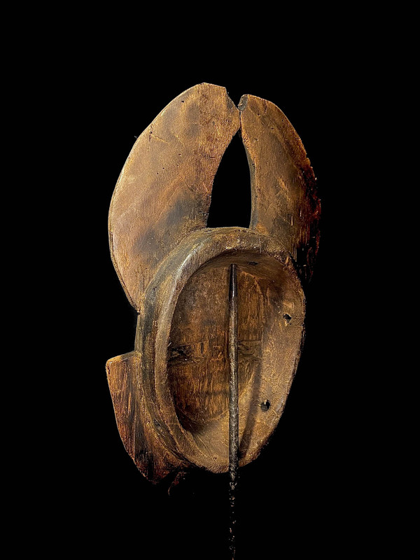 large image 10