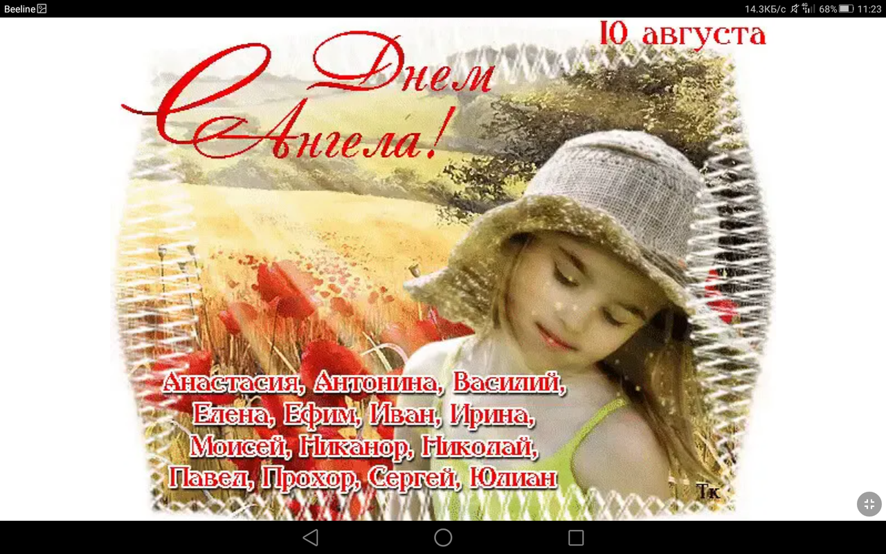 Screenshot_2023-08-10-11-23-02