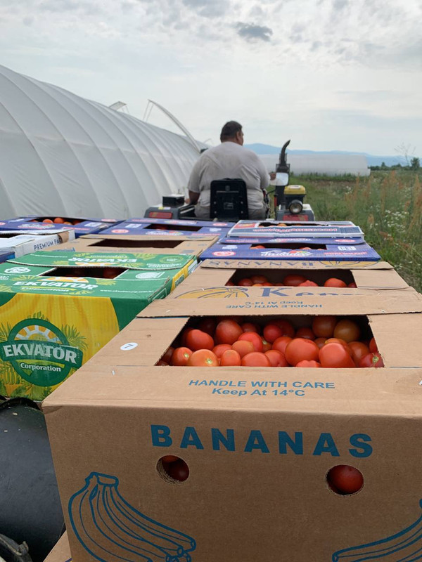 photo_2023-07-12_11-18-37