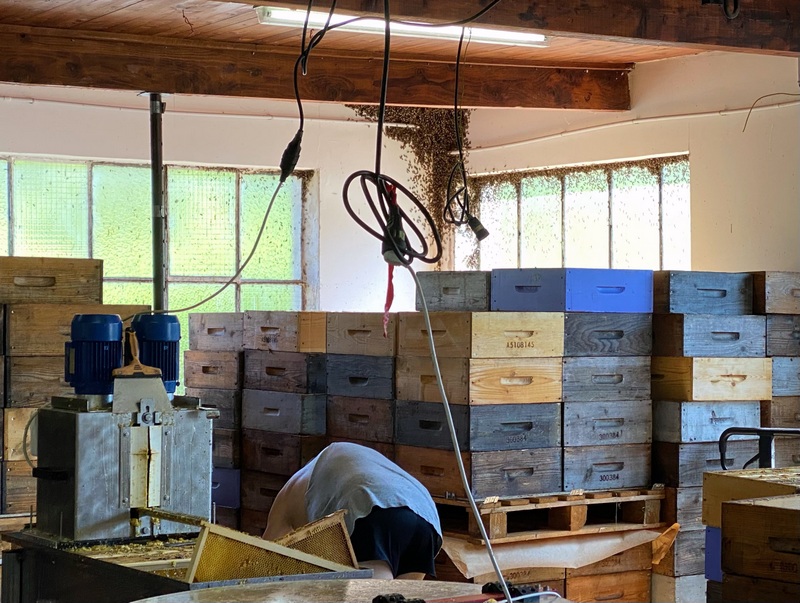 [Image: Full-Size-Render.jpg]