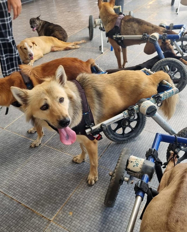 prayalundberg-1717044159-3379133783495611024-3244161