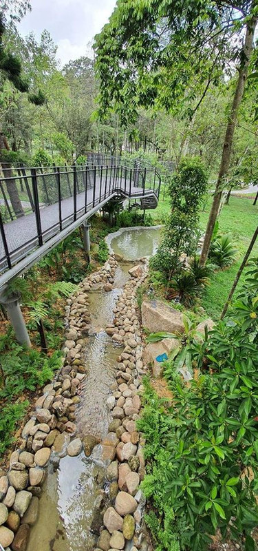 tasik