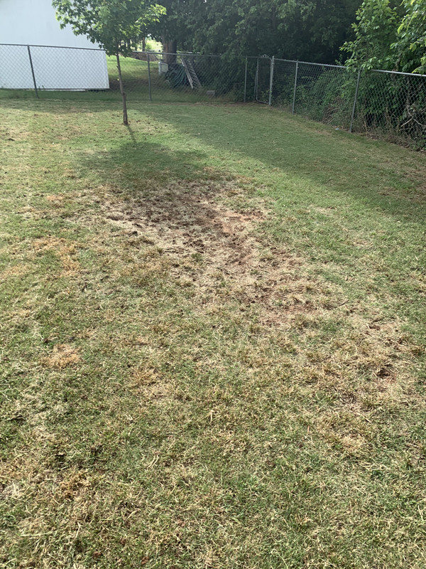 6E238933-0A84-402B-8D4A-E9B8F2DE8A43