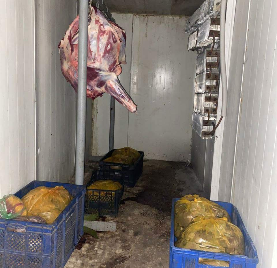 სურსათის ეროვნულმა სააგენტომ თბილისში, ზესტაფონსა და ვანში არალეგალური სასაკლაოები გამოავლინა